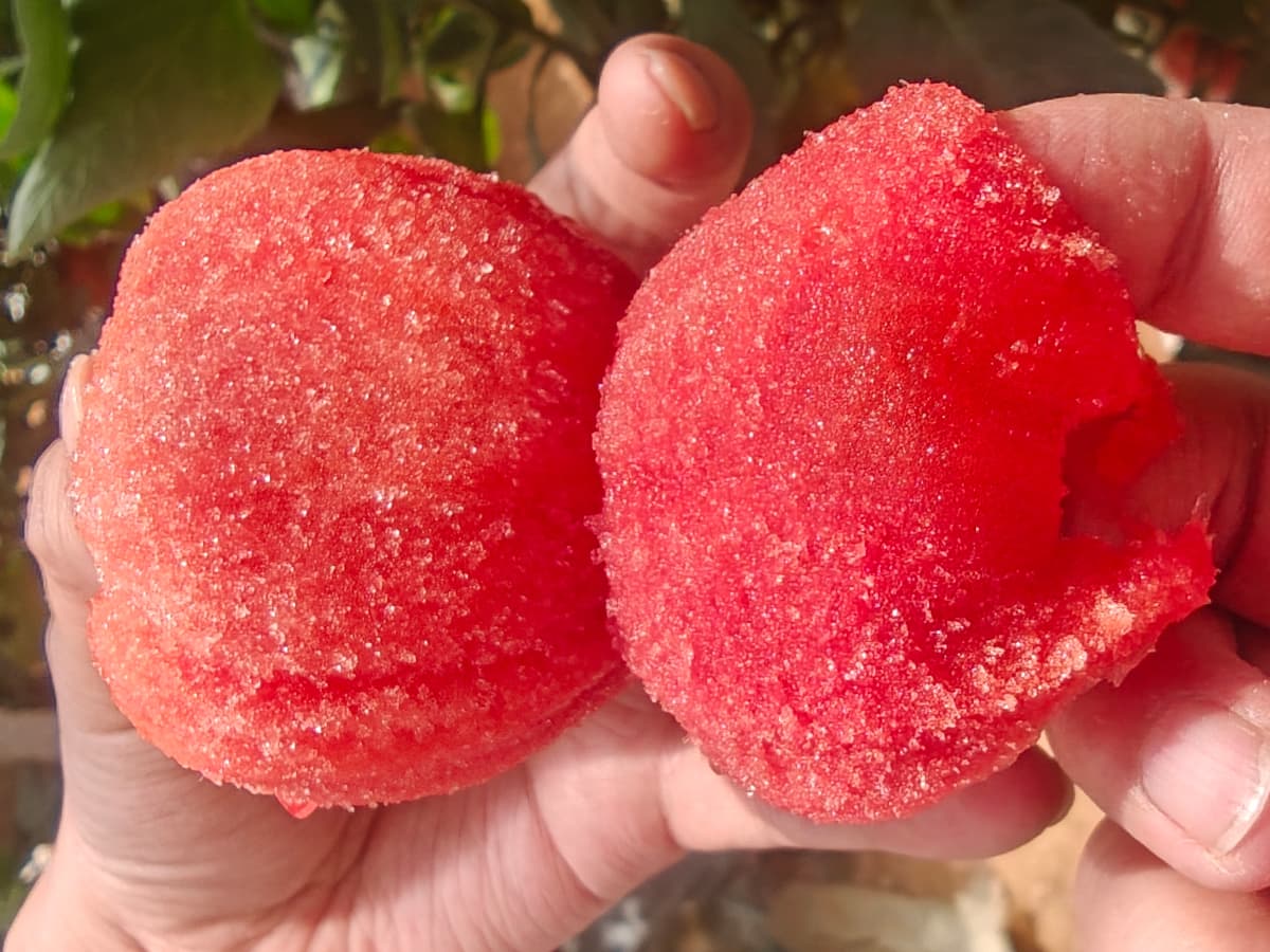 普罗旺斯西红柿风味展示