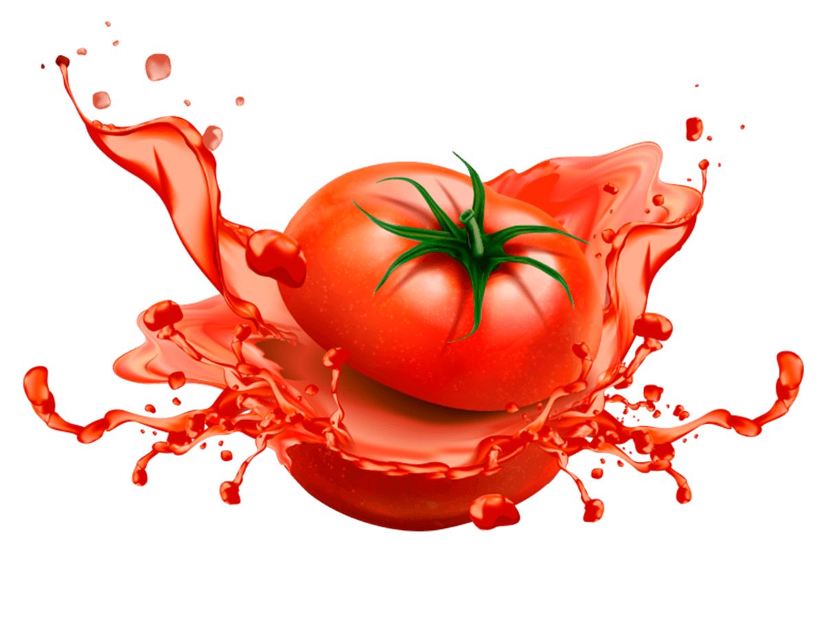 普罗旺斯西红柿产品展示